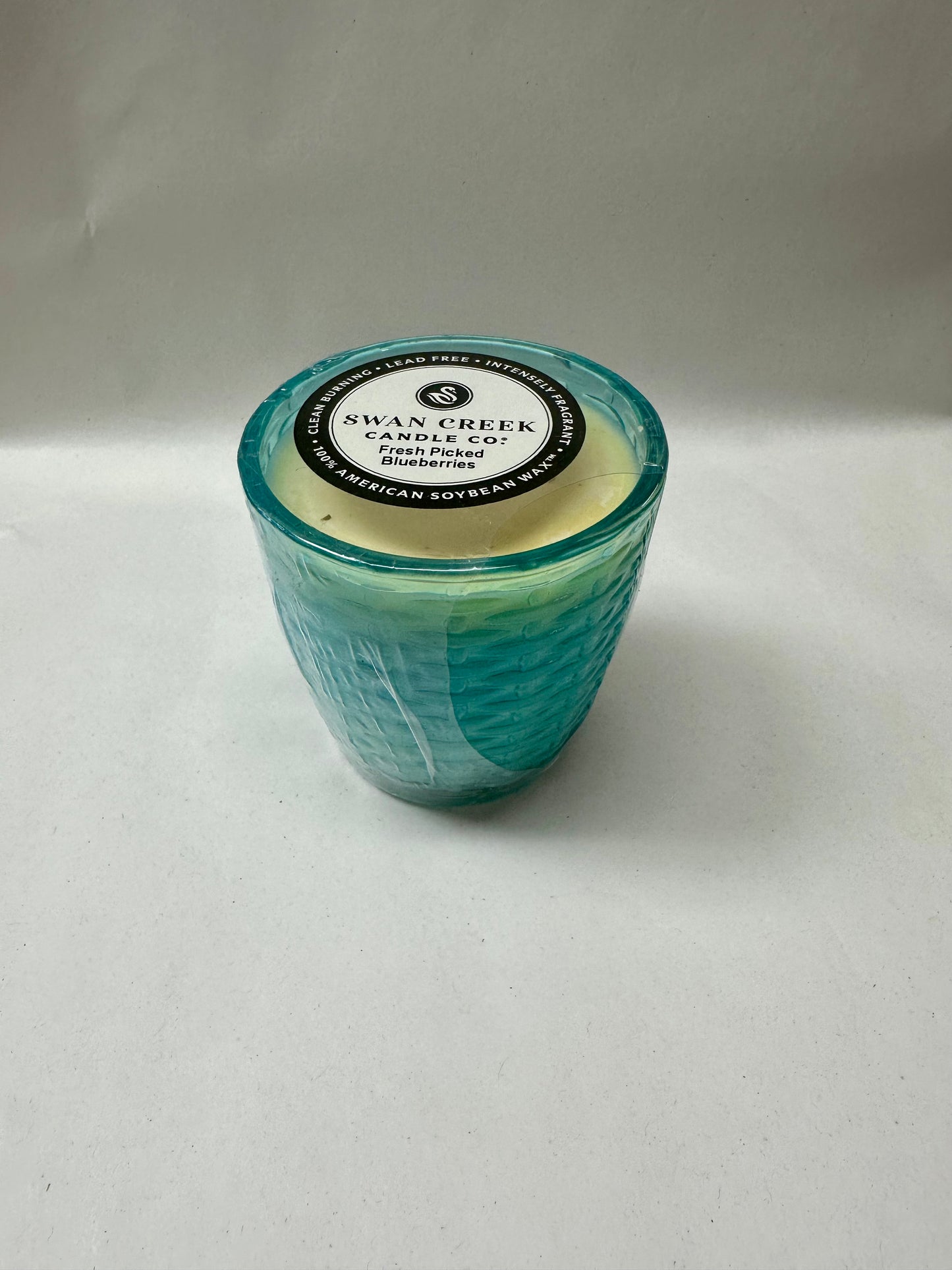 Fresh Picked Blueberries Swan Creek Pastel Candle (4.5 oz)