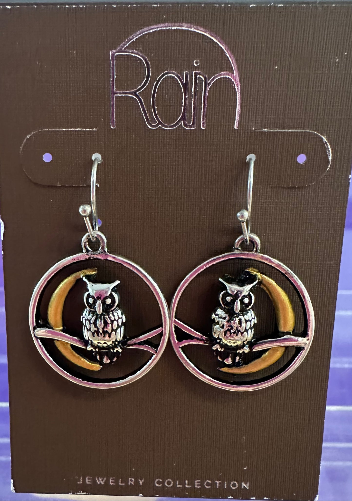 Celestial Shadow Owl Rain Earrings