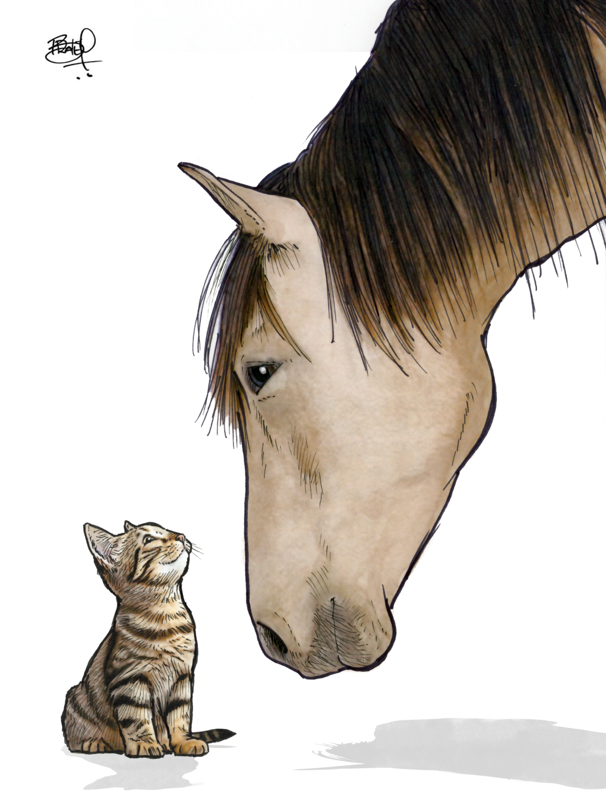 Eye to Eye #309 - vertical