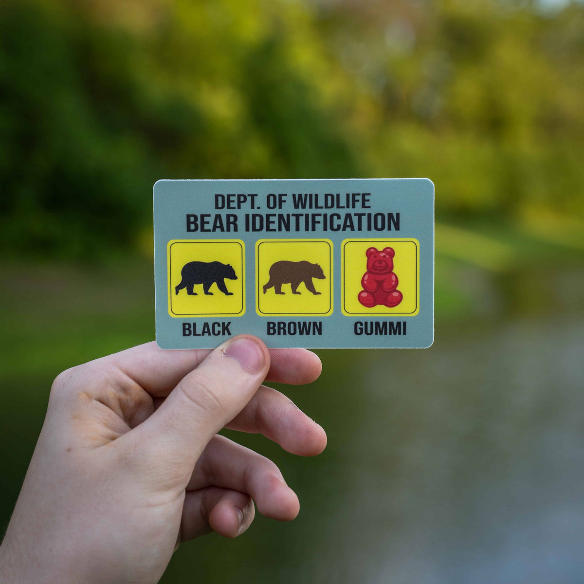 Funny Bear Identification Sticker