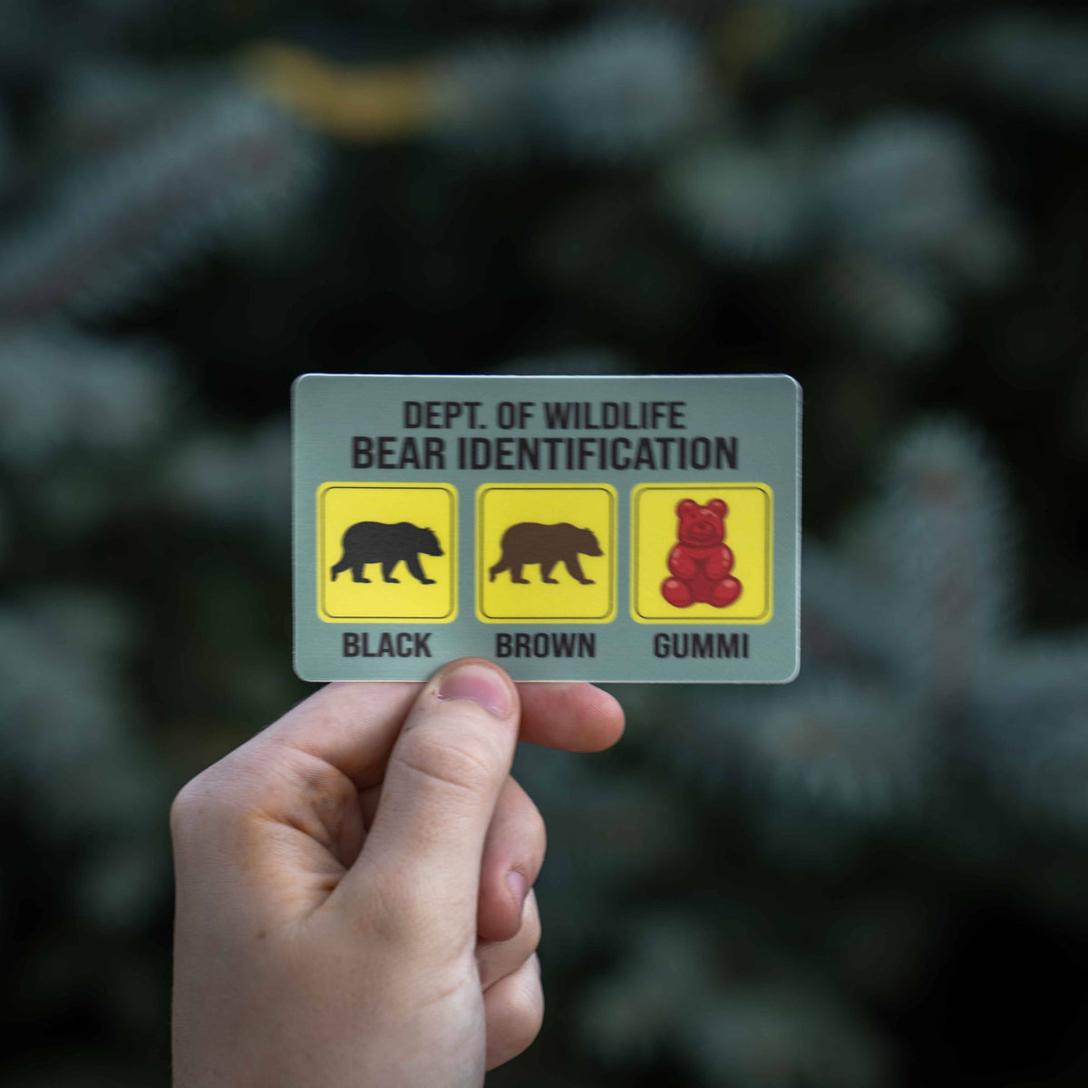 Funny Bear Identification Sticker