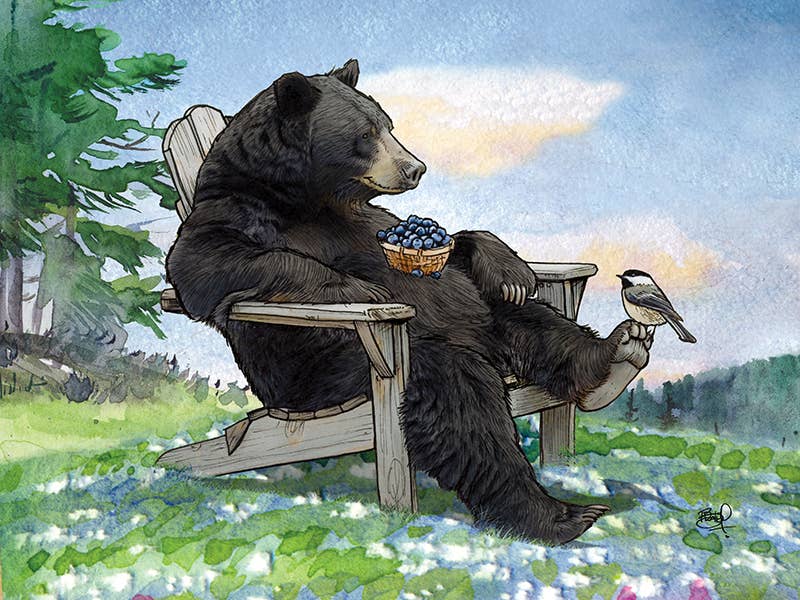 Berry Relaxing #369