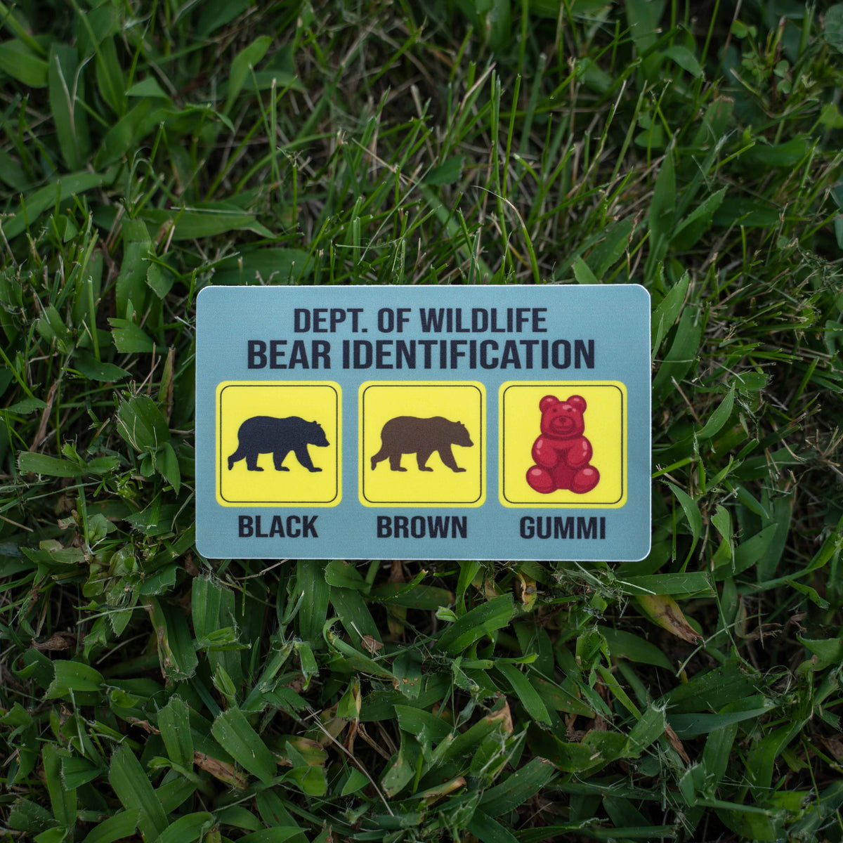Funny Bear Identification Sticker